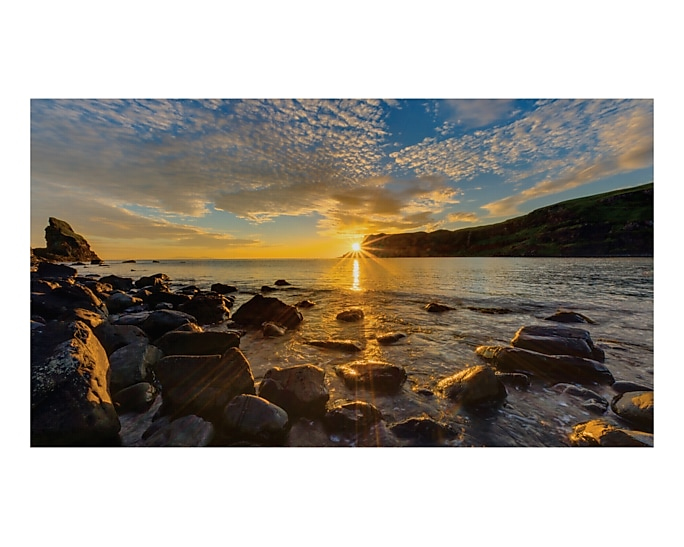 Samsung IF015R Panneau plat de signalisation numrique LED Wifi 1600 cd/m Noir