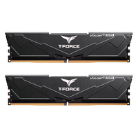 Team Group RAM Team D5 6000 16GB C30 Vulcan? black EXPO