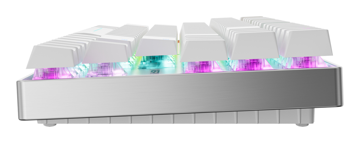 CHERRY MX 8.2 Pro TMR Wireless clavier Gaming USB + RF Wireless + Bluetooth QWERTY US International Argent, Blanc