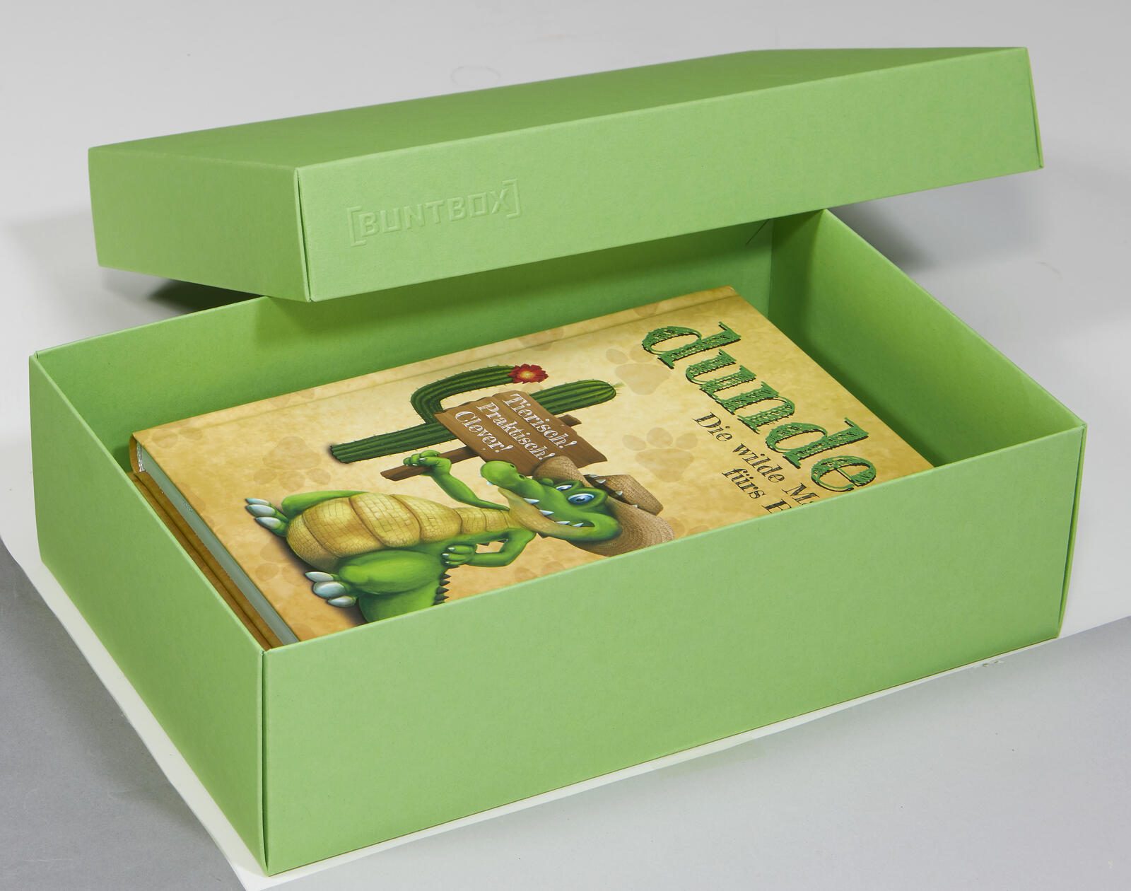 Buntbox 2 l Geschenkboxen 3.6 l grn 26.6 x 17.2 7.8 cm