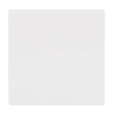 Busch-Jaeger 2506-914 Bianco