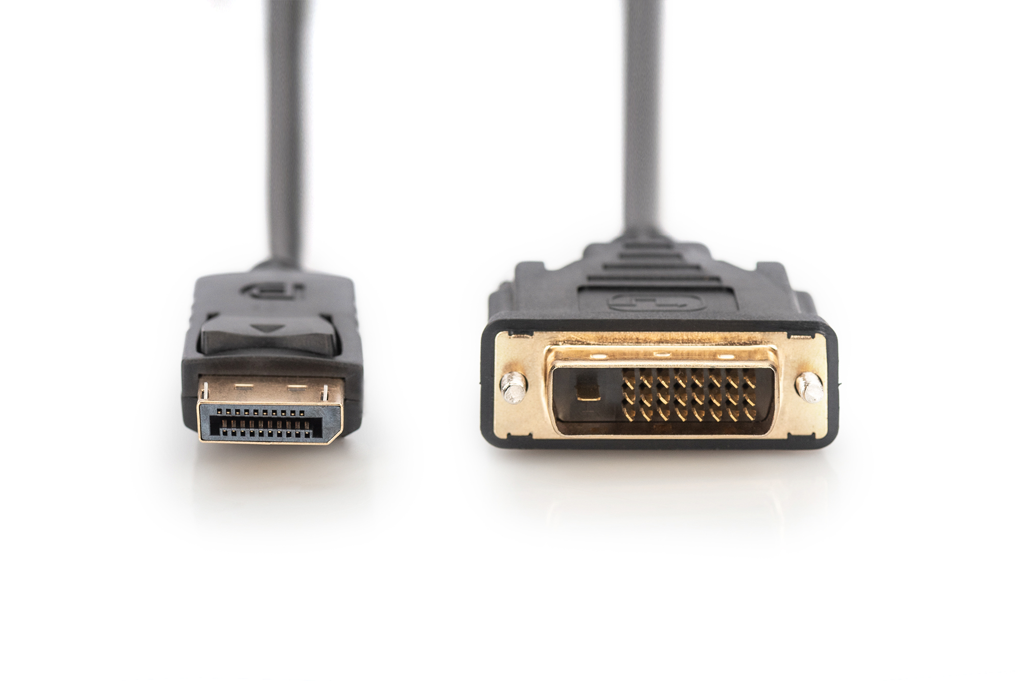 Digitus Cable adaptador DisplayPort