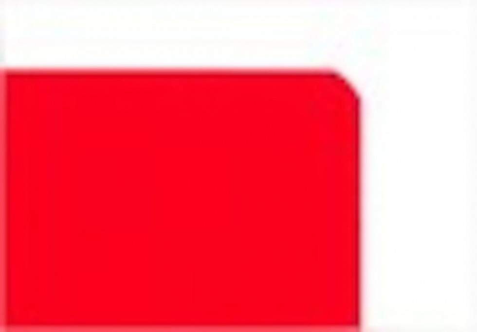 Oxford 100050336 writing notebook A4 Red