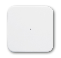 BUSCH JAEGER 6731-214 - Wand-montiert - RF Wireless - Kabellos - 1 Kanle - 868 MHz - Wei