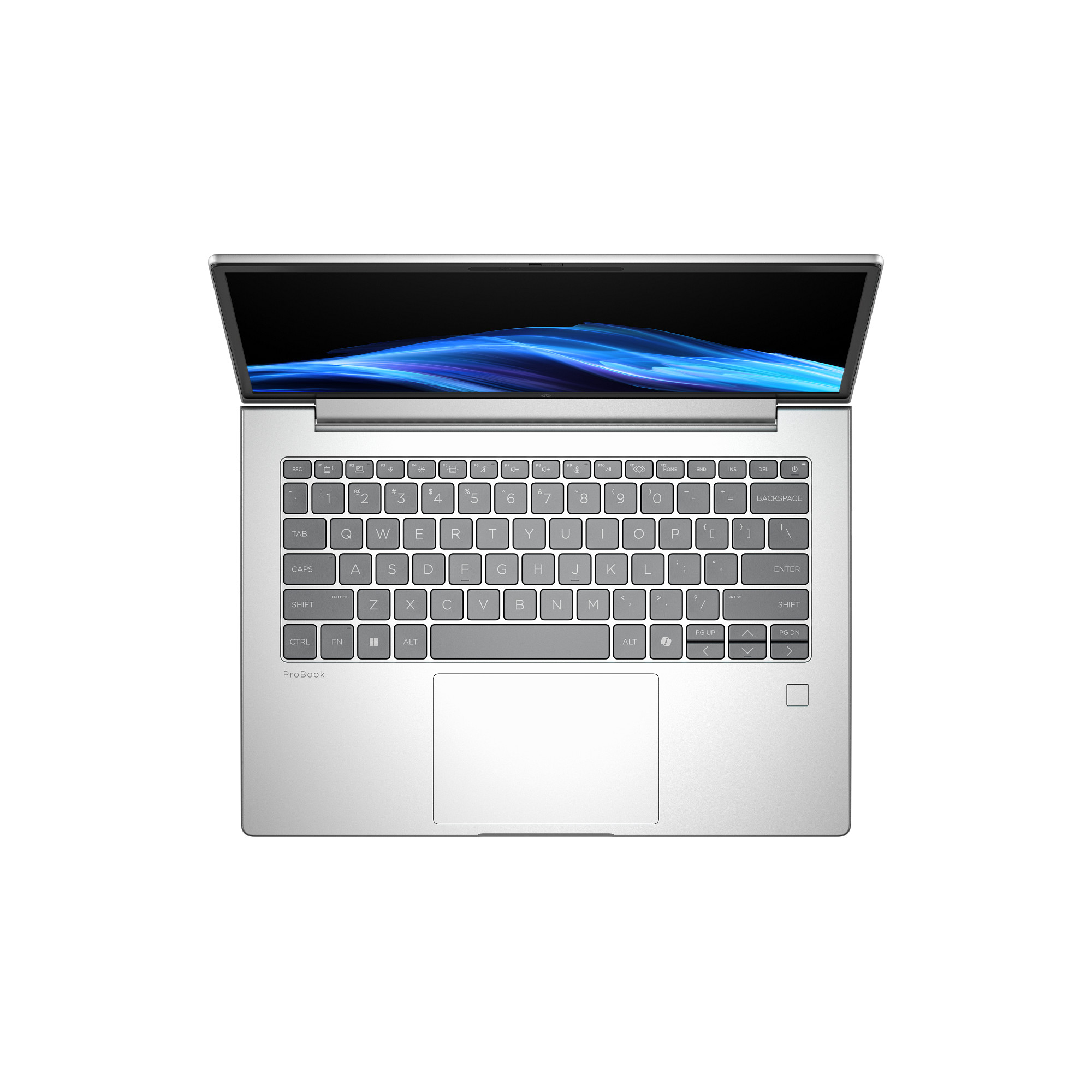 HP ProBook 4 G1a Notebook AI - 177-Grad Scharnierdesign - AMD Ryzen 5 230 - Win 11 Pro - Radeon 760M - 16 GB RAM - 512 GB SSD NVMe - 35.6 cm (14)