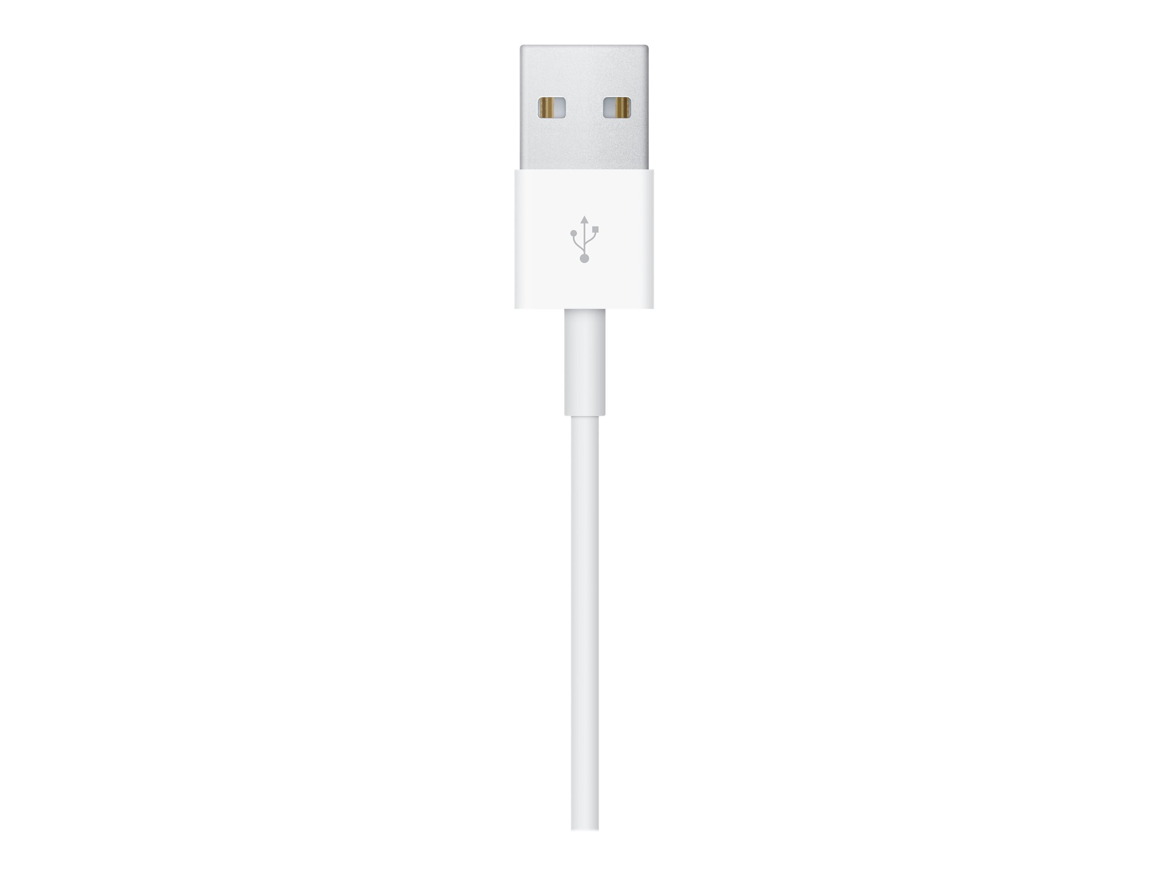 Apple MX2E2ZM/A accessoire intelligent � porter sur soi C�ble de chargement Blanc