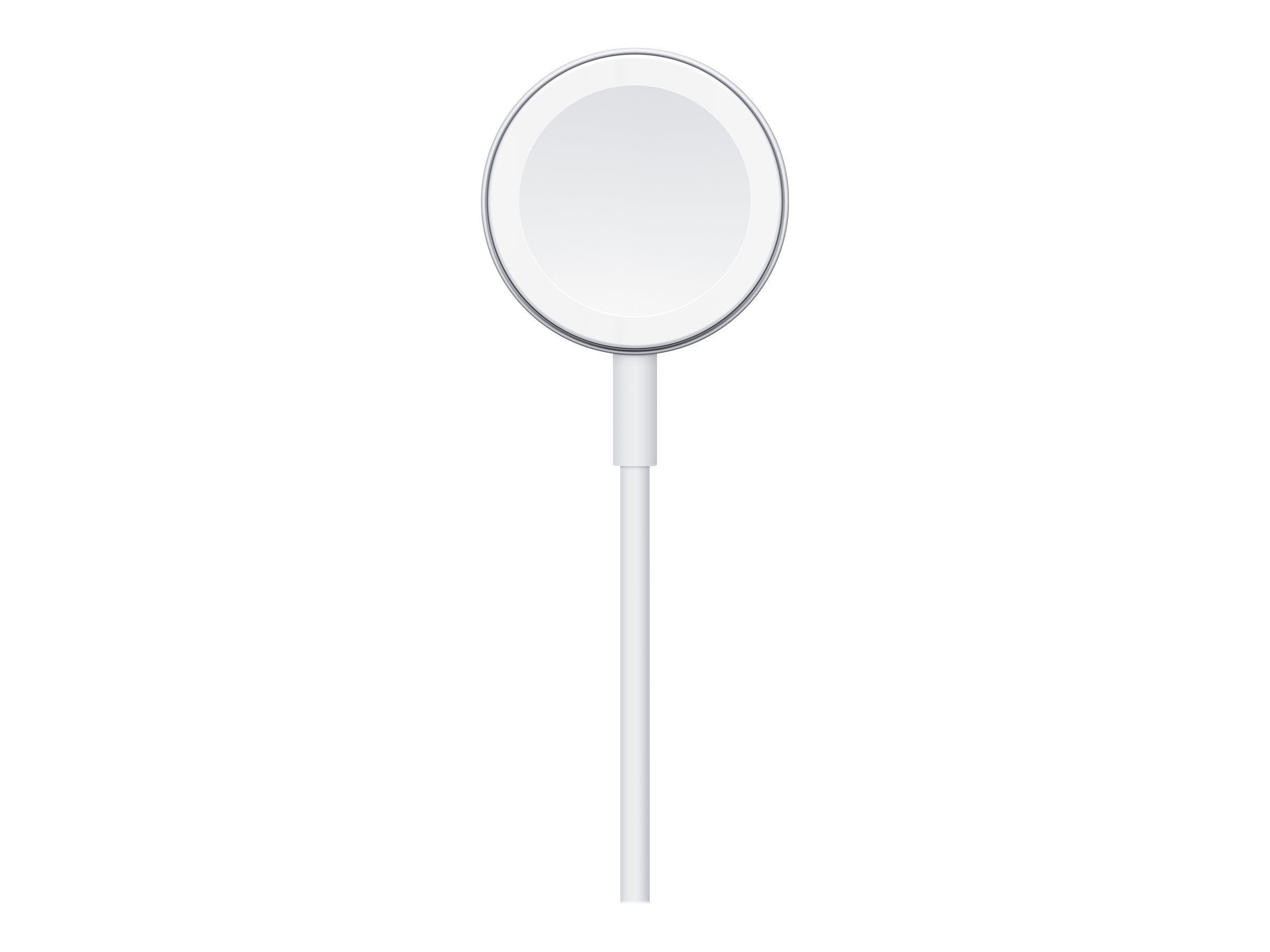 Apple MX2E2ZM/A accessoire intelligent � porter sur soi C�ble de chargement Blanc
