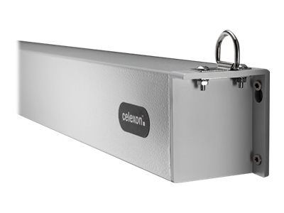 celexon Electric Professional Plus - Leinwand - Deckenmontage m�glich, geeignet f�r Wandmontage - motorisiert - 230 V - 376 cm (148)