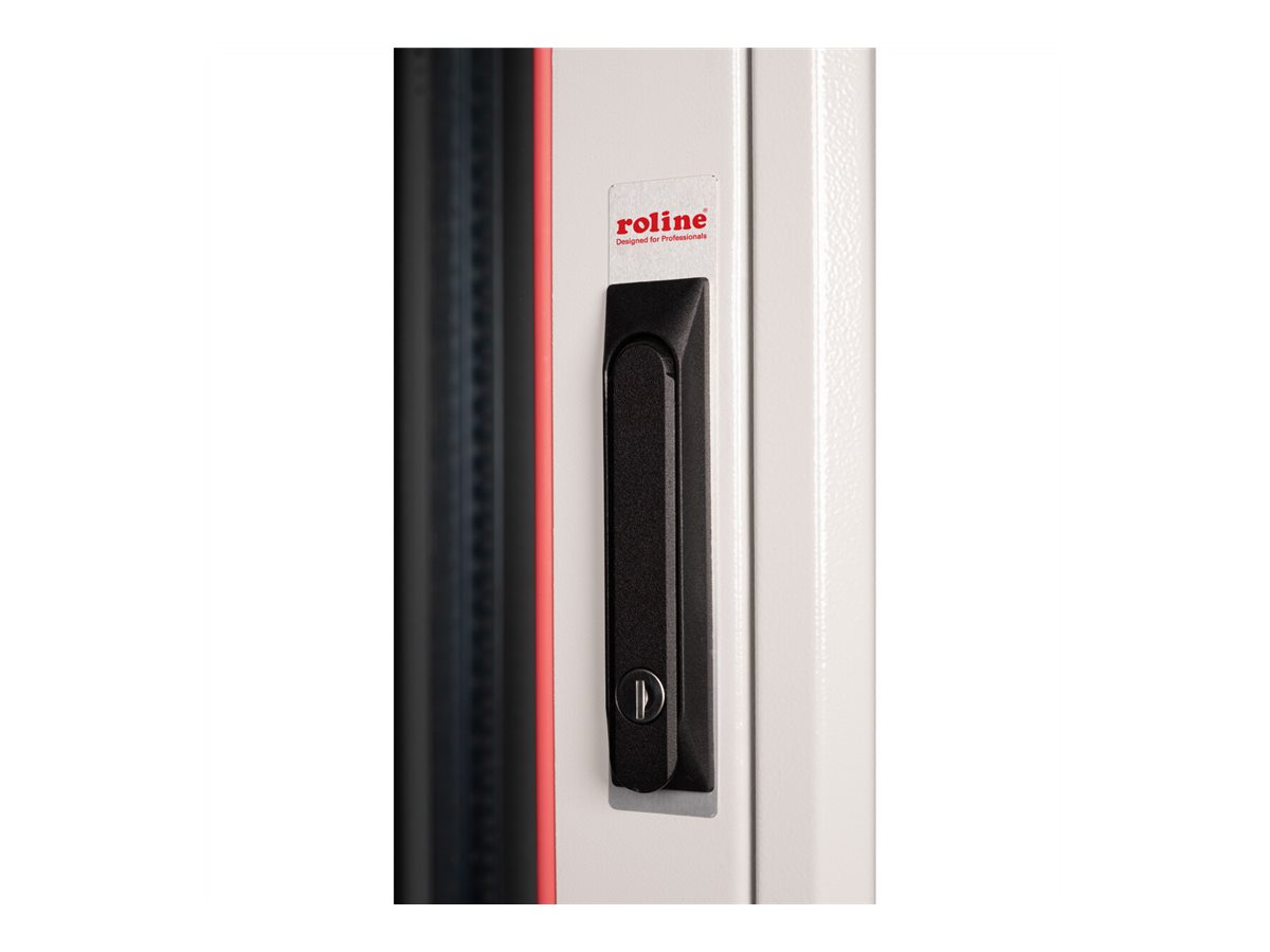 ROLINE Basic - Schrank Netzwerkschrank - Glas T�r, 800 x 800 (B x T)