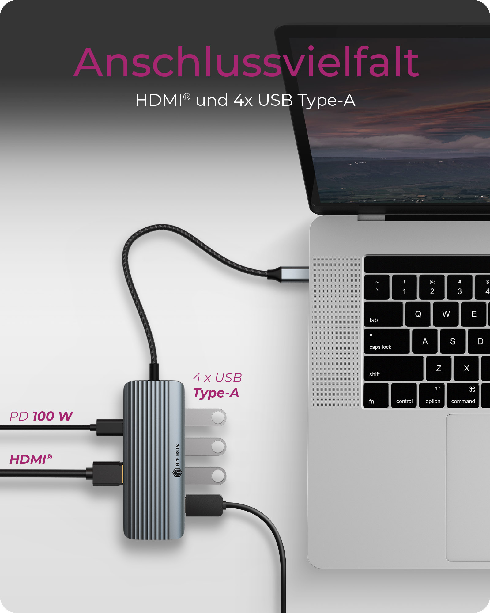 ICY BOX IB-DK4022a-CPD Cablato USB 3.2 Gen 1 (3.1 Gen 1) Type-C Alluminio, Argento