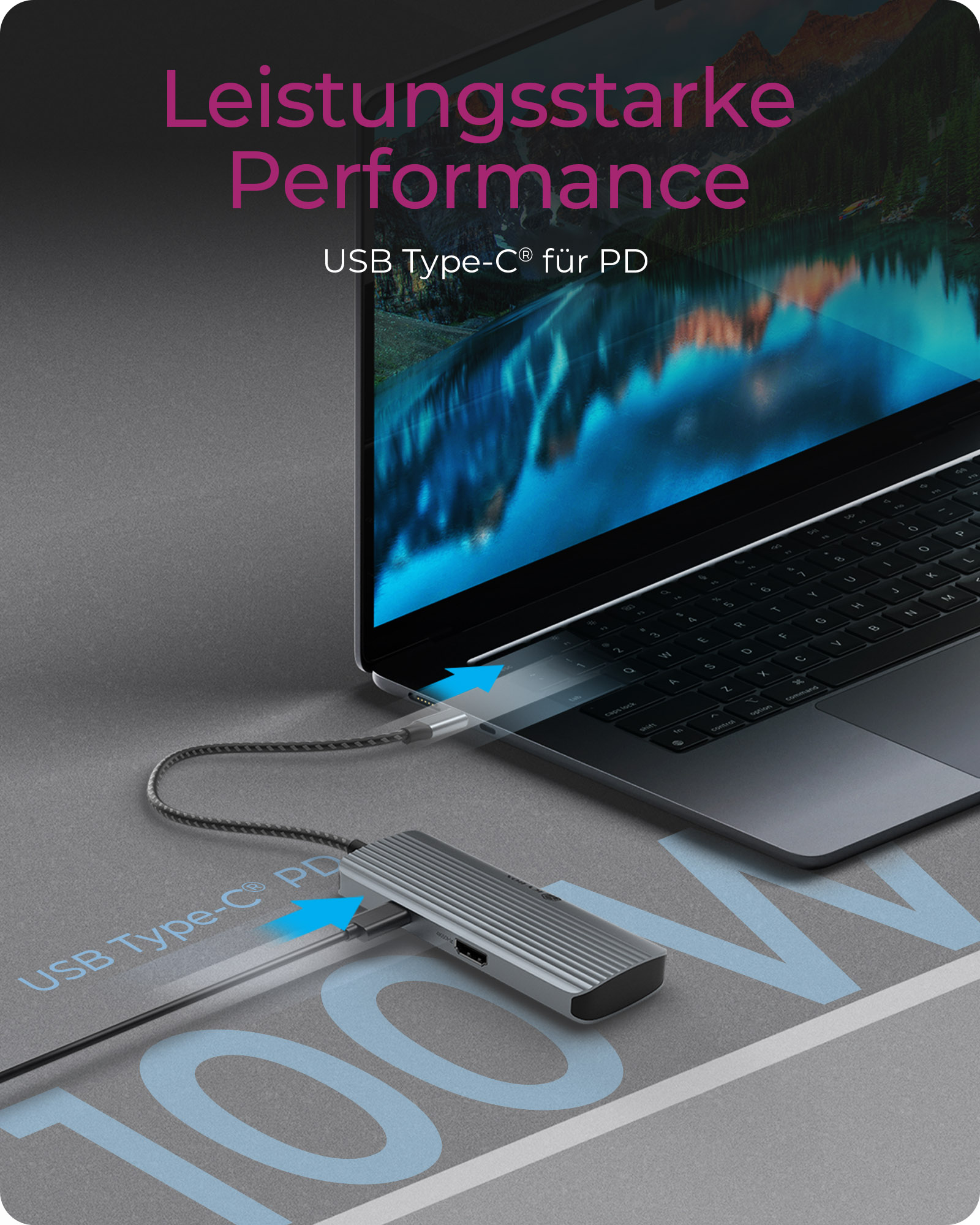 ICY BOX IB-DK4022a-CPD Cablato USB 3.2 Gen 1 (3.1 Gen 1) Type-C Alluminio, Argento