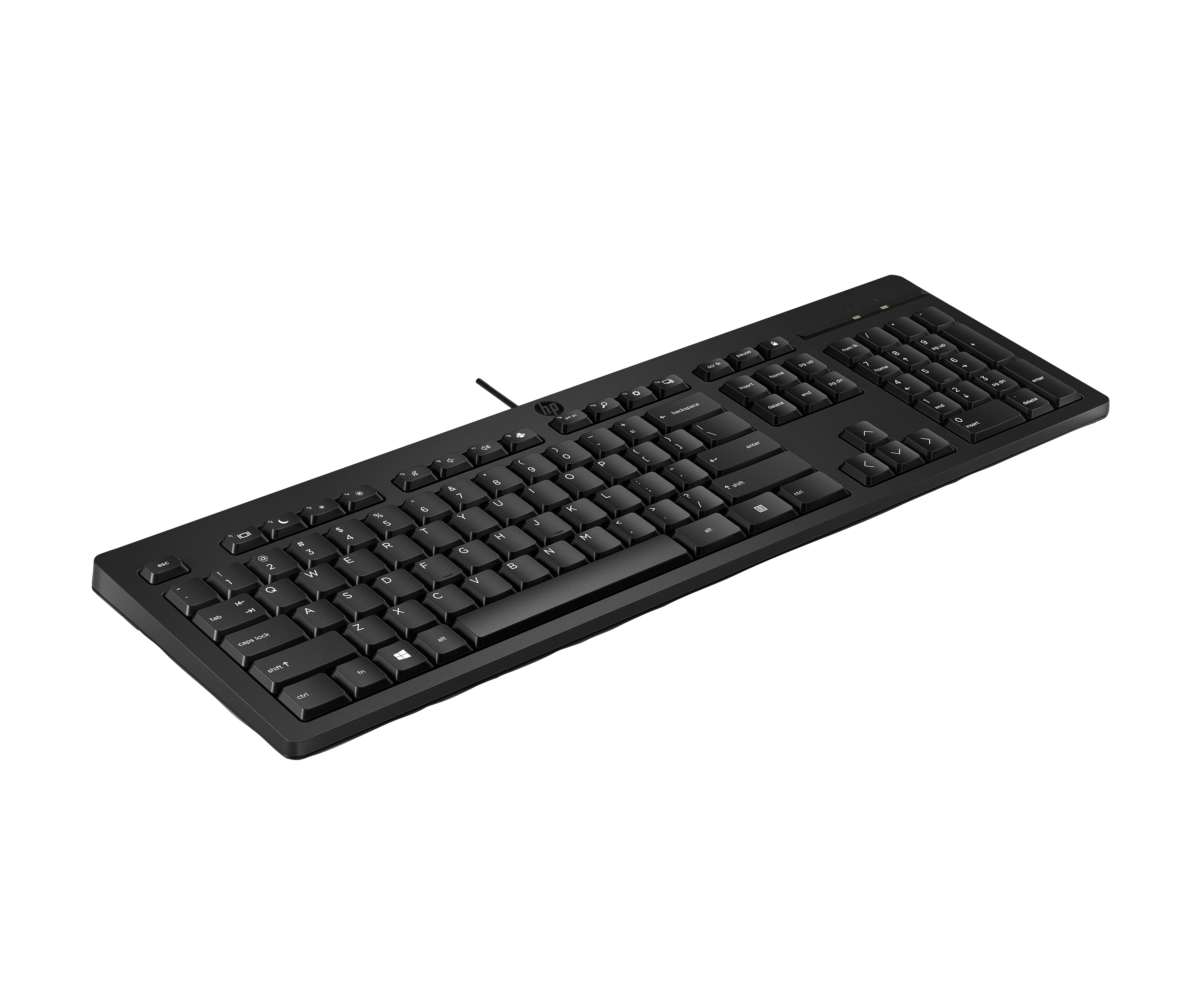 HP 125 G2 - Tastatur - 100% - full size - USB