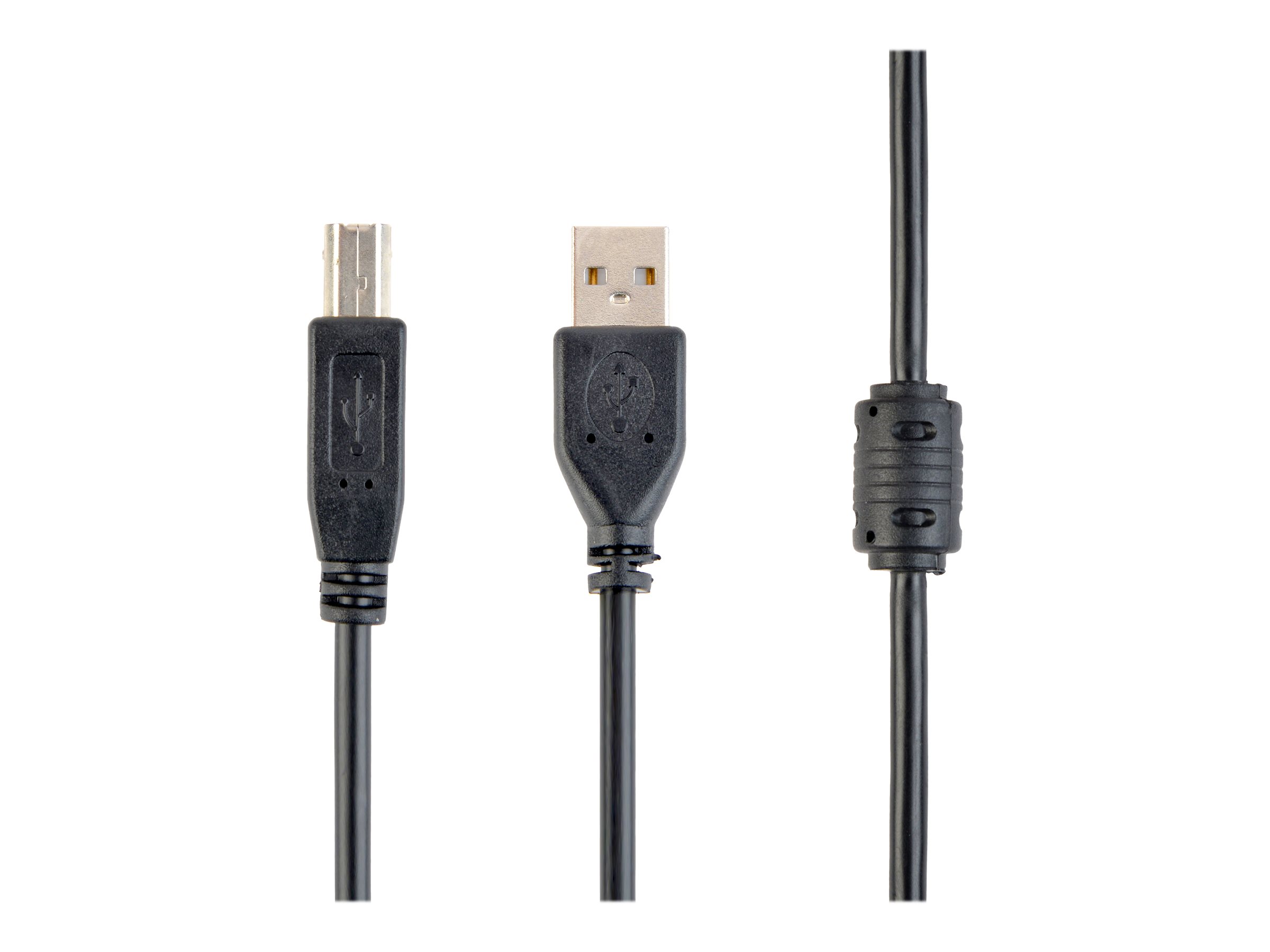 Gembird Cablexpert CCF-USB2-AMBM-6 - USB-Kabel - USB Typ B (M)