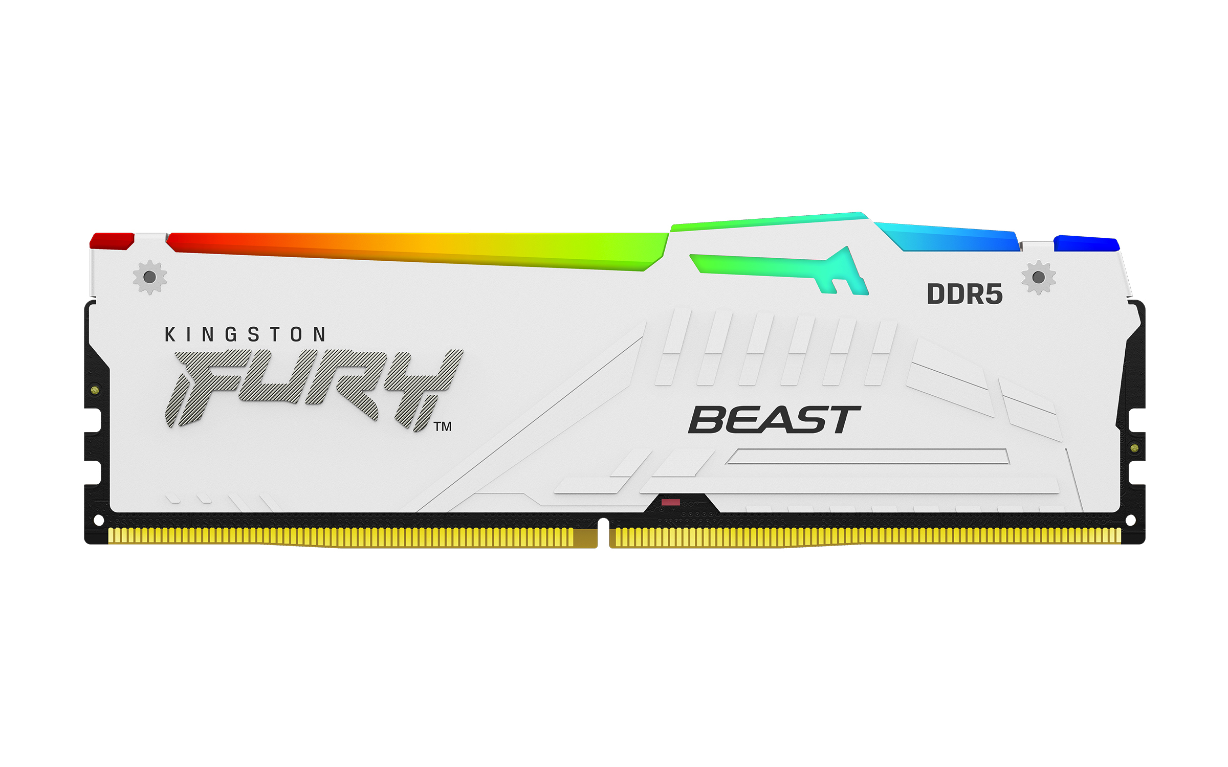 Kingston Technology FURY Beast 32GB 6000MT/s DDR5 CL36 DIMM (Kits de 2) White RGB EXPO