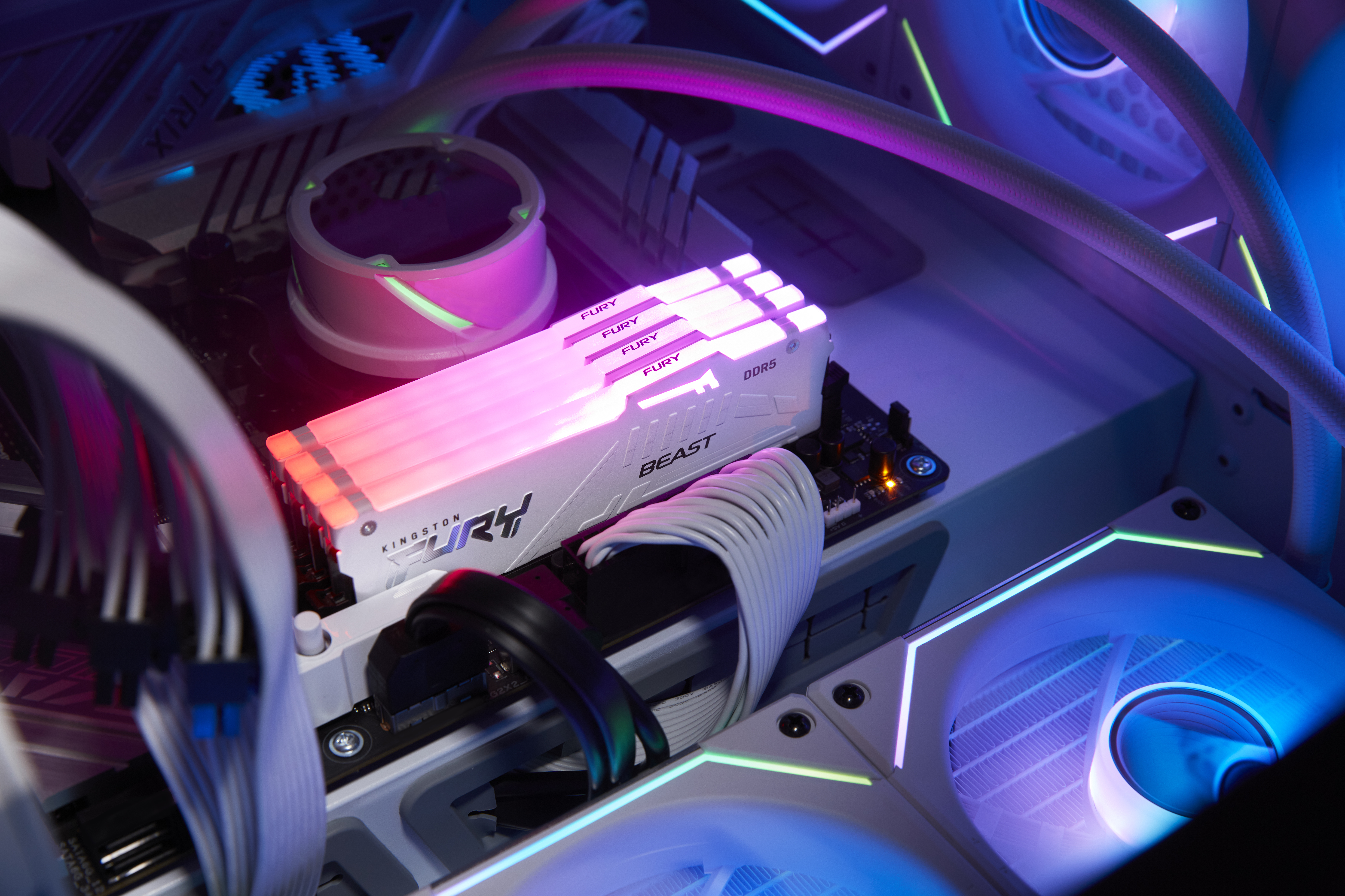 Kingston Technology FURY Beast 32GB 6000MT/s DDR5 CL36 DIMM (Kits de 2) White RGB EXPO