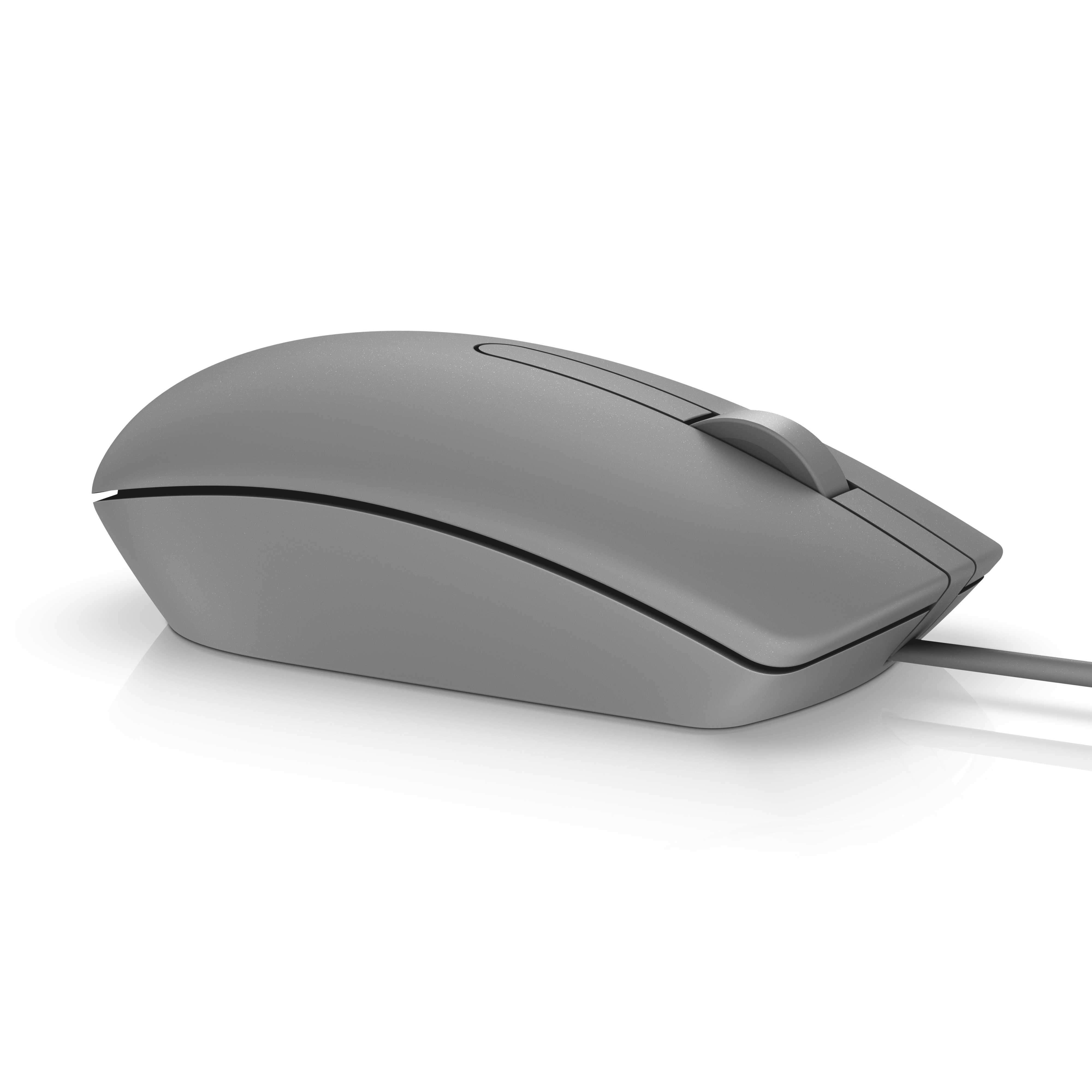 Dell MS116 - Maus - optisch - 2 Tasten - kabelgebunden
