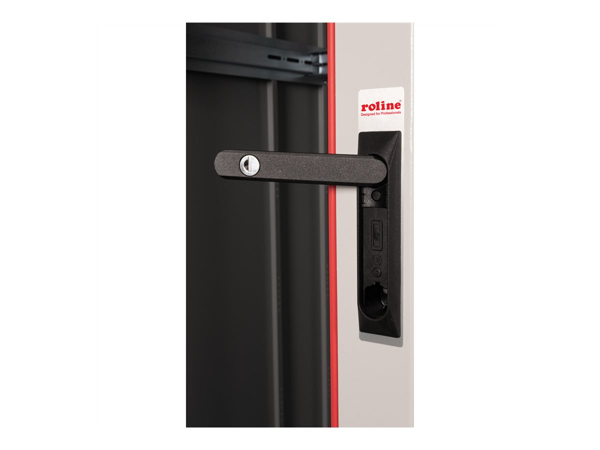 ROLINE Basic - Schrank Netzwerkschrank - Glas T�r, 800x1000 WxD - RAL 7035, Hellgrau - 42HE - 48.3 cm (19)