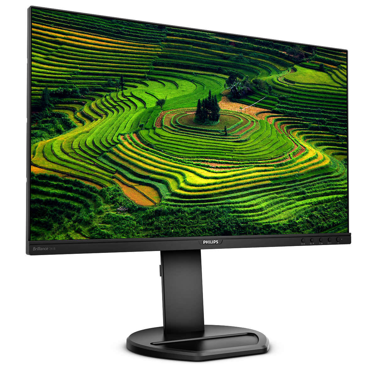 Philips B Line Moniteur LCD 241B8QJEB/00