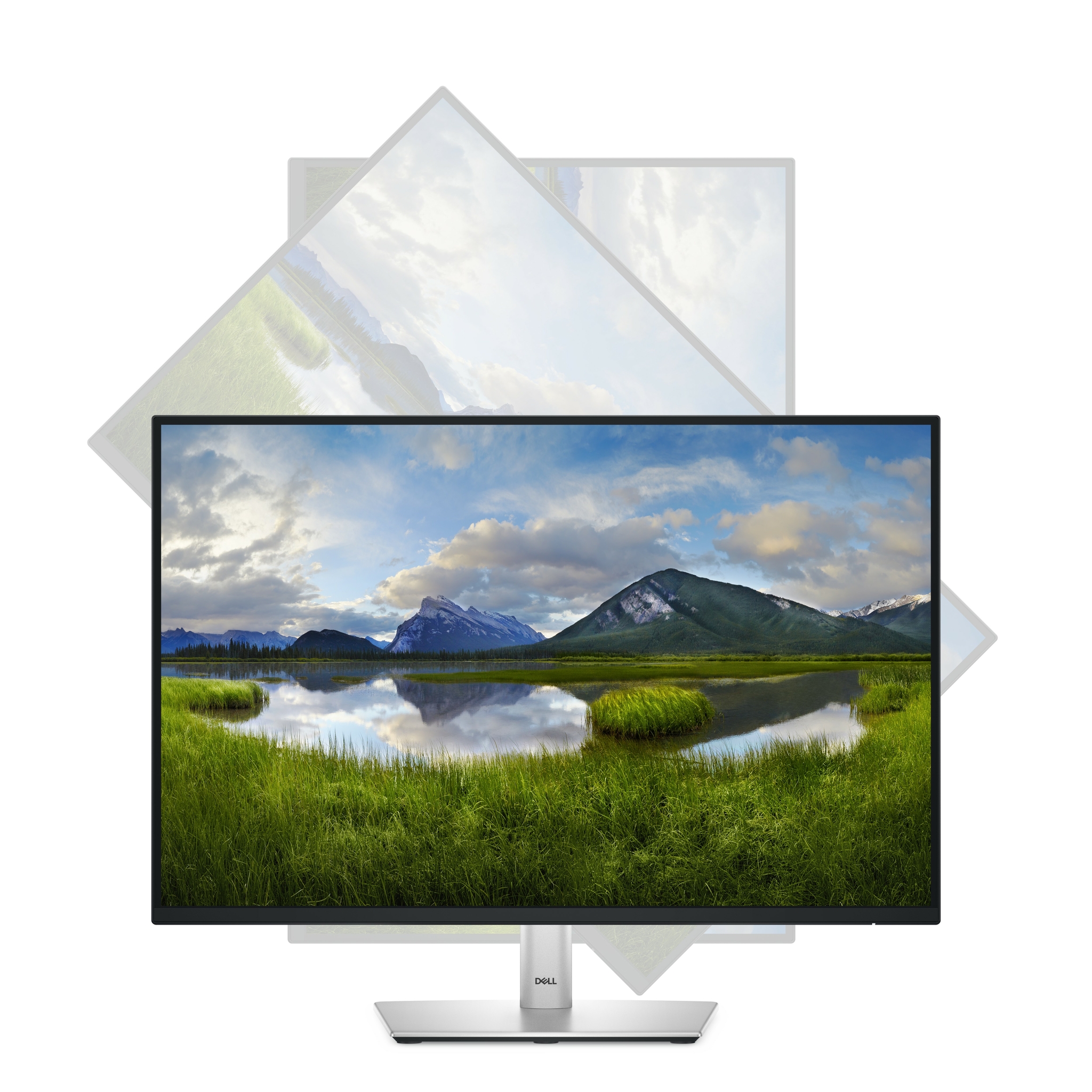 Dell P2425 - LED-Monitor - 61 cm (24) (24.07 sichtbar)