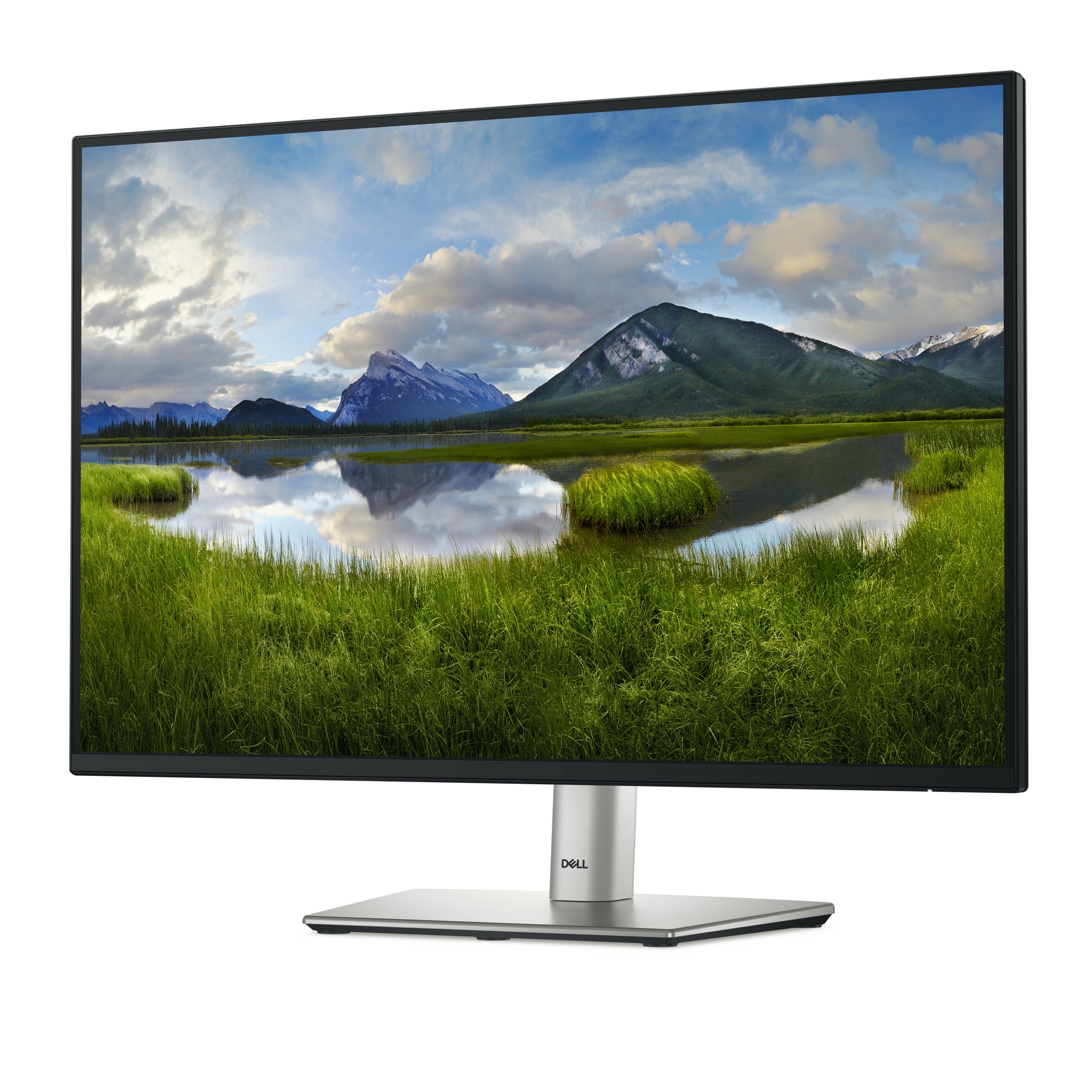 Dell P2425 - LED-Monitor - 61 cm (24) (24.07 sichtbar)
