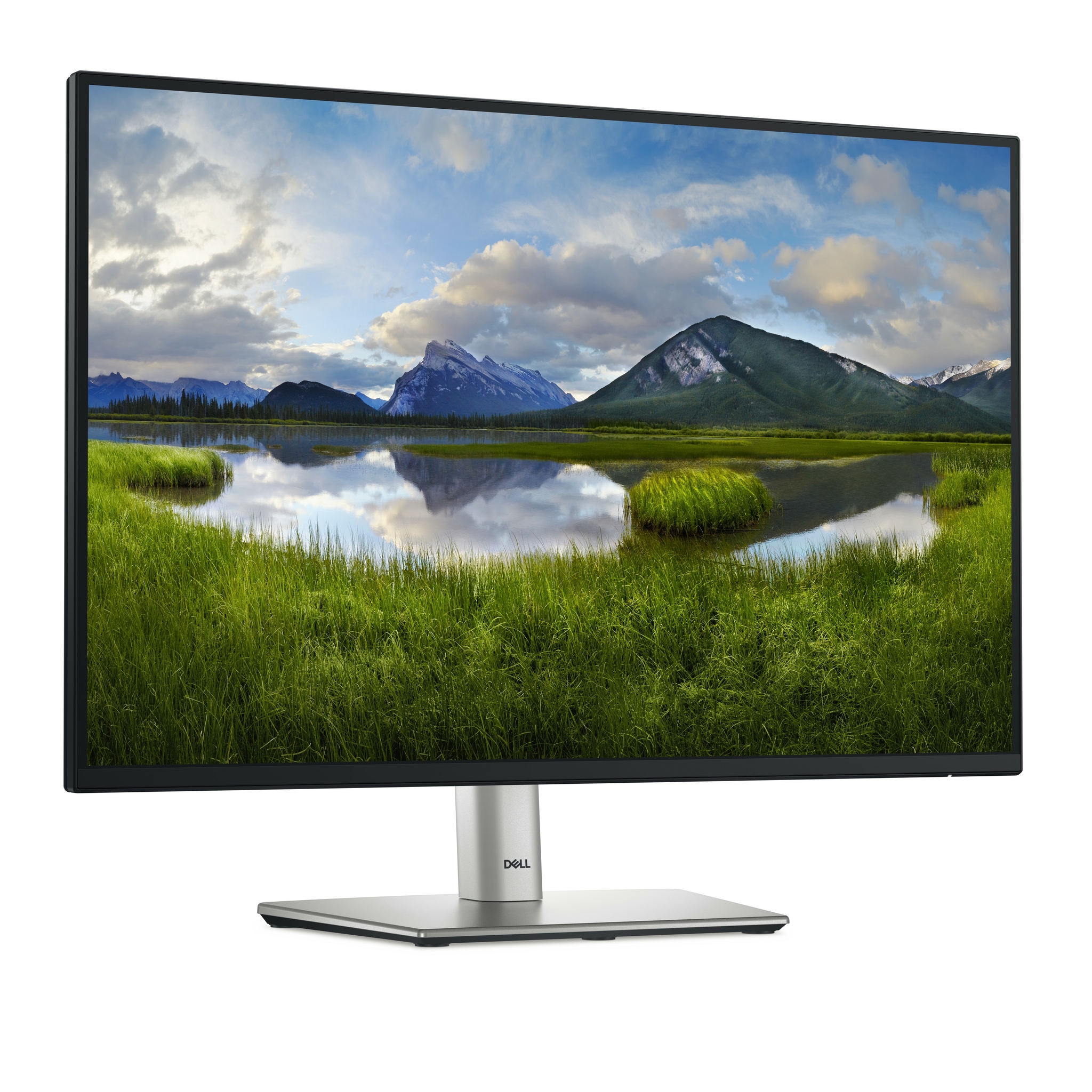 Dell P2425 - LED-Monitor - 61 cm (24) (24.07 sichtbar)