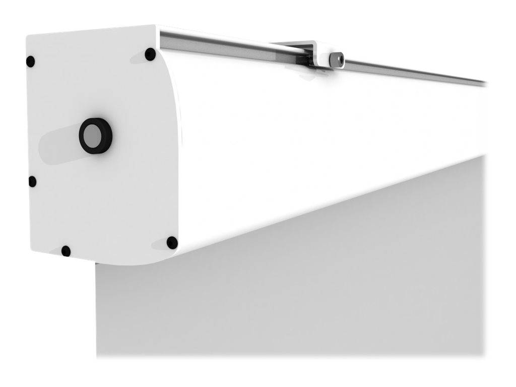 celexon Expert - Leinwand - geeignet f�r Wandmontage, Deckenmontage m�glich - motorisiert - 230 V - 396 cm (156)