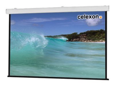 celexon Expert ceiling recessed - Leinwand - Deckenmontage, geeignet f�r Wandmontage - motorisiert - 230 V - 287 cm (113)